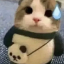 avatar <3