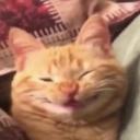 https://cdn.discordapp.com/avatars/609379445819572254/fdf4acea4b88331371dae8799972be08.jpg?size=128