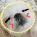 taeyangunni