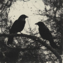 avatar ✞-ᴍʀᴍᴅᴋ