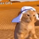 robercikx19