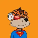 meerkats2024