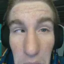 kingrek