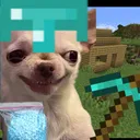 malcorah