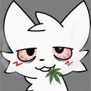 molotov._.141