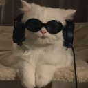 avatar Alissa⋆.˚🦋⋆