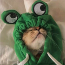 Discord Avatar