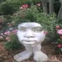 droixzy