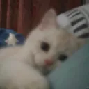 mian1uuu