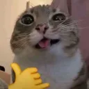 srokaaa