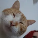 andyolivero