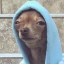 xpapajones