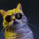 pishiegang