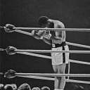 avatar 𝕊𝔸𝕄𝕌ℝ𝔸𝕀