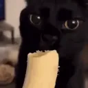 fluffehpandao