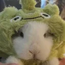 littleguyemil