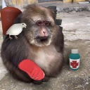 avatar ꒰Jae!! ୨୧꒱