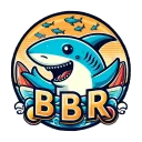 bbr_manager