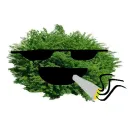 zzz_kszook_zzz
