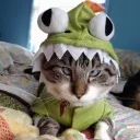 Аватар _caromel