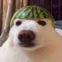 devinsucksatlife avatar