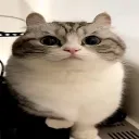 Аватар rolexx1315