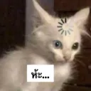 iz.zom