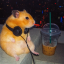 avatar ✞DontReallyCare✞