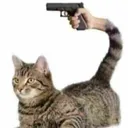 mossius