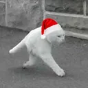 serukiio