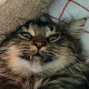 Discord Avatar