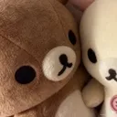 rescue.