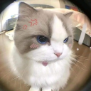 avatar nhi