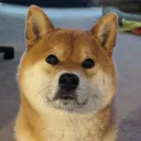 bohica_.