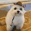 loonboon64's Avatar