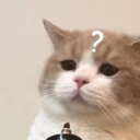 jijianfeiji934's Avatar