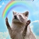 lost_trash_panda