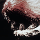 gurs666 member profile picture