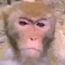 eltrakamatraka