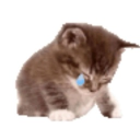 avatar .꩜ ݁˖savvy ᶻ 𝗓 𐰁 .ᐟ