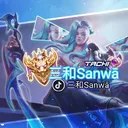 sanwa_sanwa