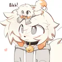 koiwypher