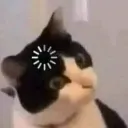 sixtlime