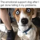 crazydave911
