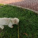 coffeeadict4064 avatar