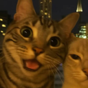 avatar 𝒞𝑒𝓁𝒾𝓃𝑒