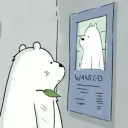 polarplar