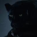 https://cdn.discordapp.com/avatars/612407359553404929/a_10c615ba911ea2a94203cc5237f61e9c.jpg?size=128
