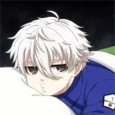 nvoonis