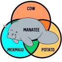 manateeamazonia